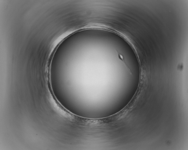 X0000111911003200907271217