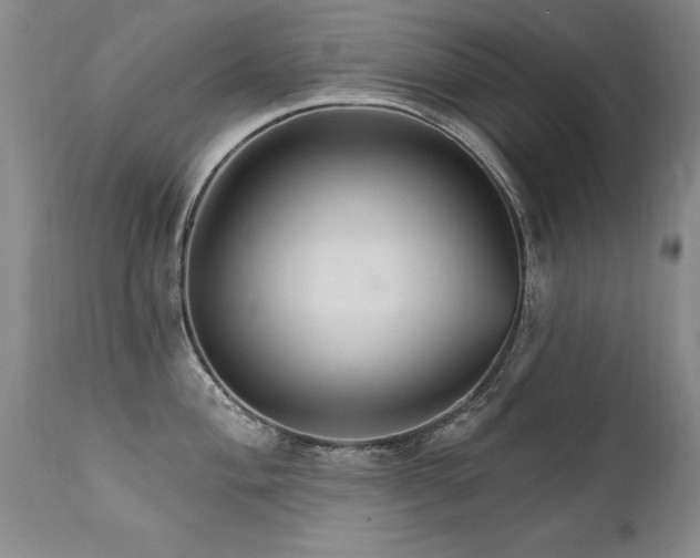 X0000111911004200907271217