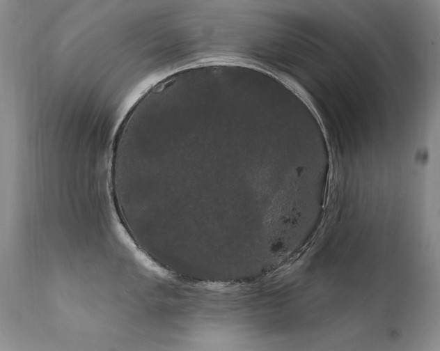X0000111911005200907271217
