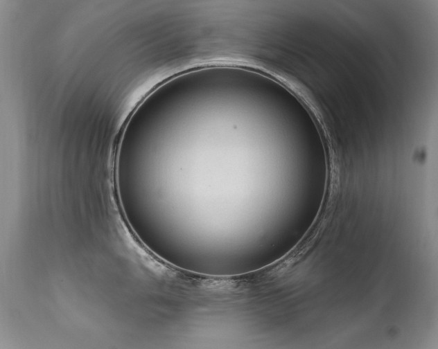 X0000111911006200907271217