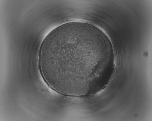 X0000111911007200907271217