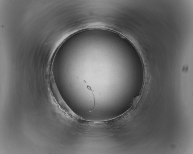 X0000111911008200907271217