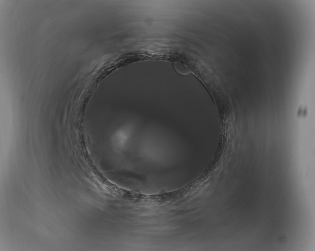 X0000111911009200907271216