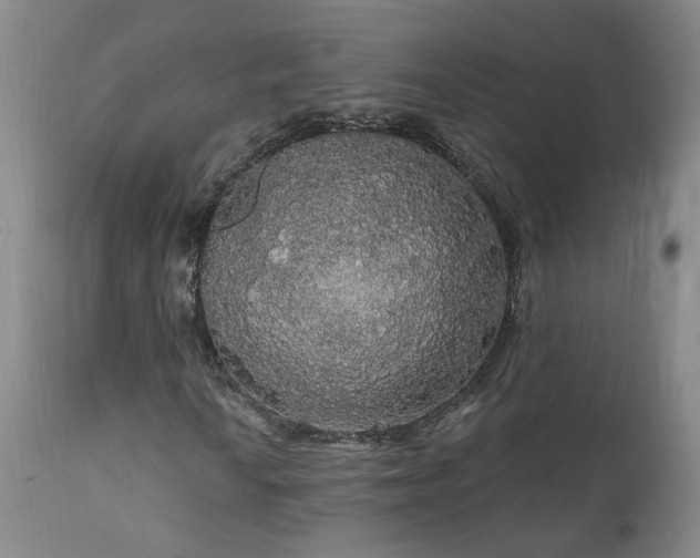 X0000111911010200907271216