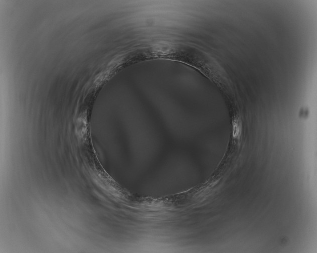 X0000111911011200907271216