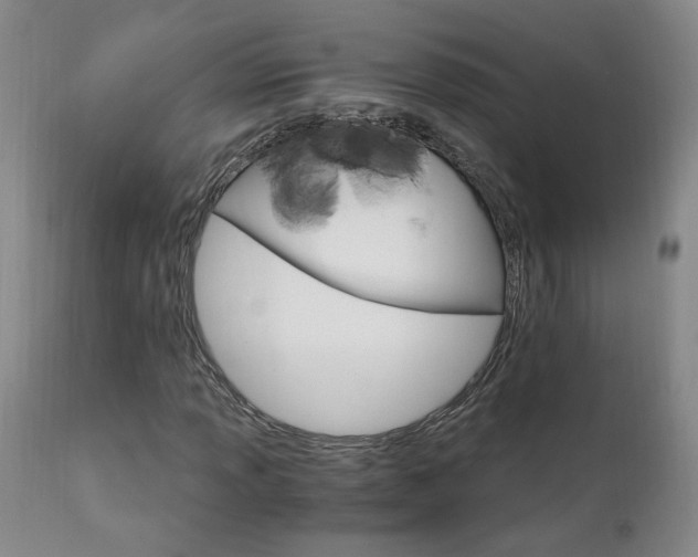 X0000111911013200907271216