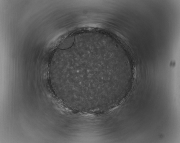 X0000111911014200907271216
