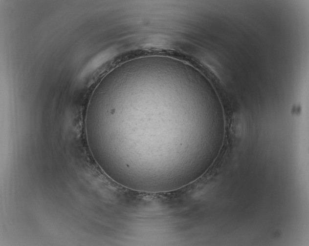 X0000111911015200907271216
