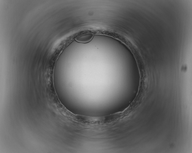 X0000111911016200907271216