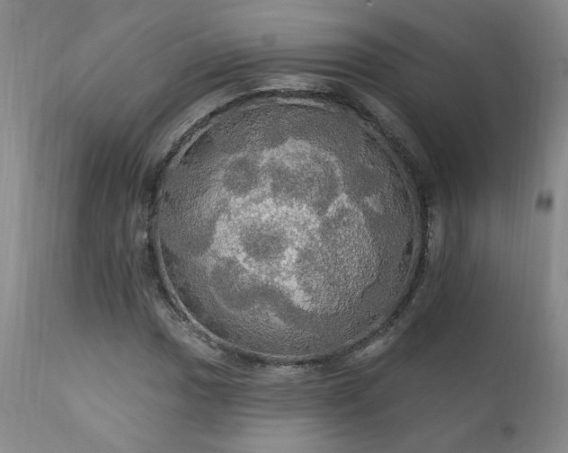 X0000111911017200907271216