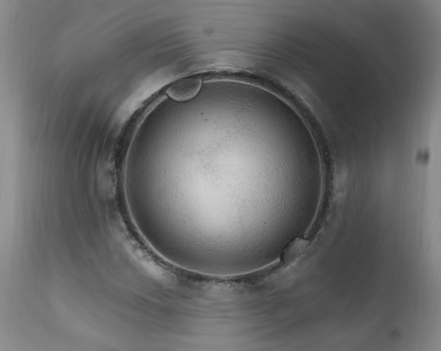 X0000111911018200907271216