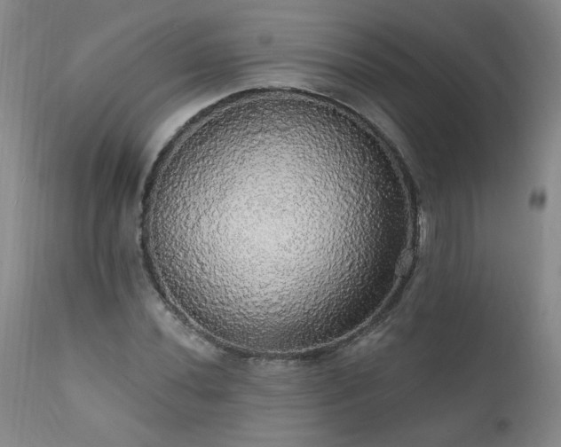 X0000111911020200907271216
