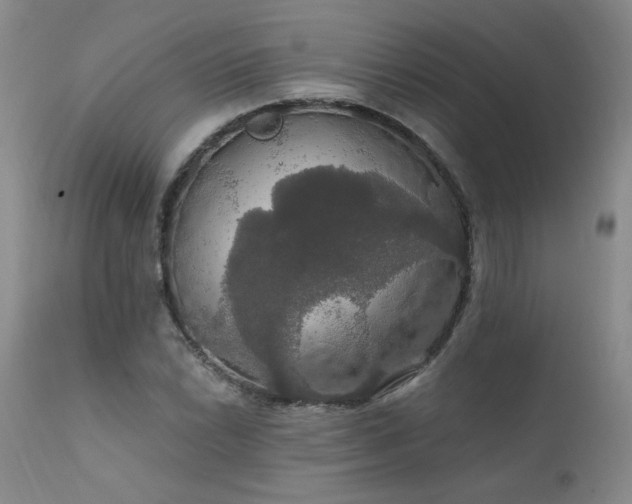 X0000111911022200907271216