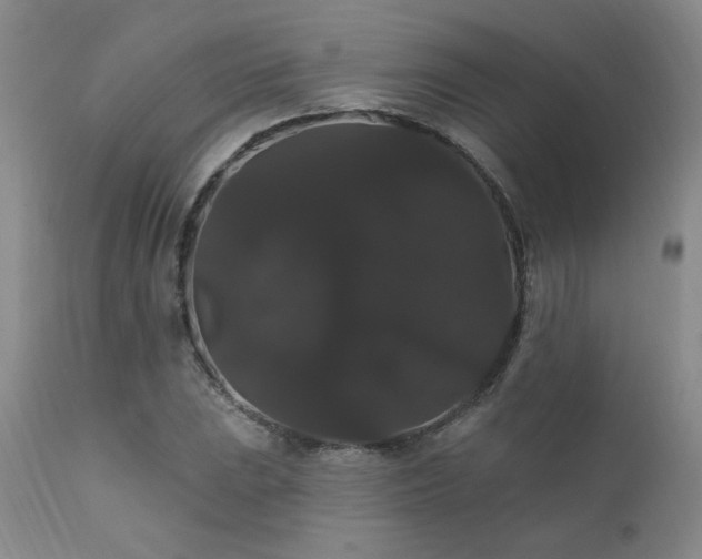 X0000111911023200907271216