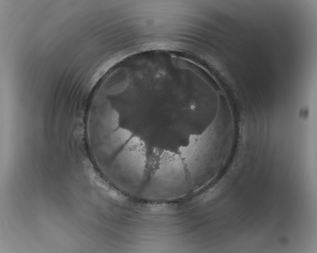 X0000111911025200907271217
