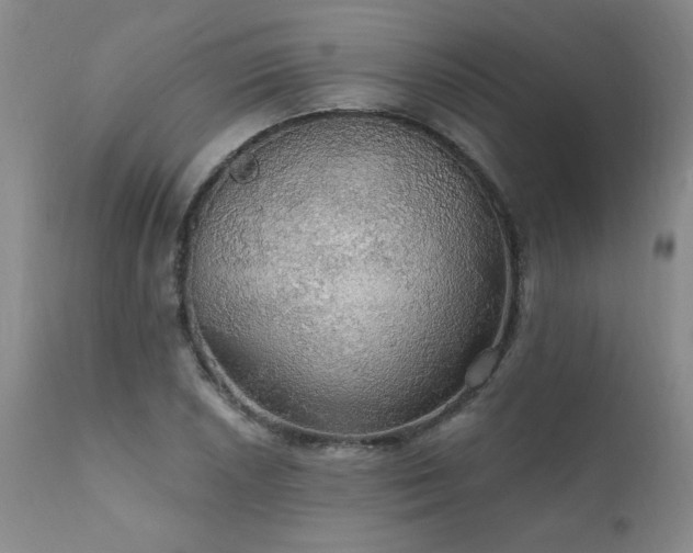 X0000111911026200907271217