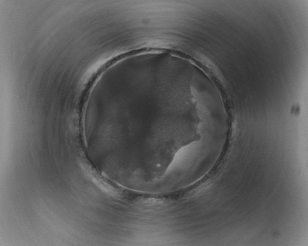 X0000111911027200907271217