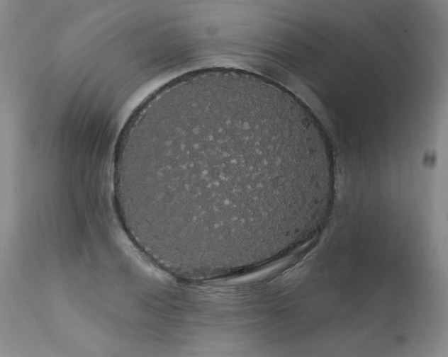 X0000111911028200907271217