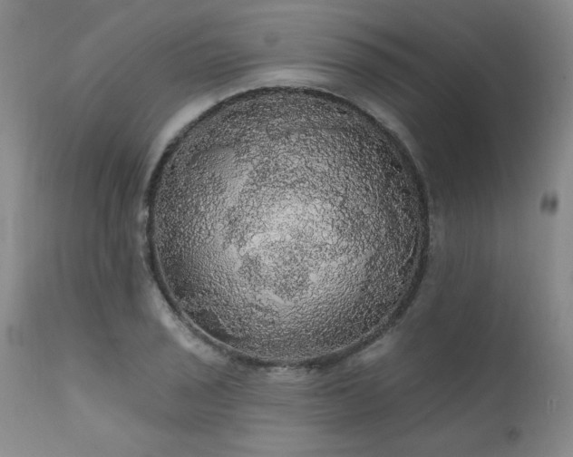 X0000111911029200907271217