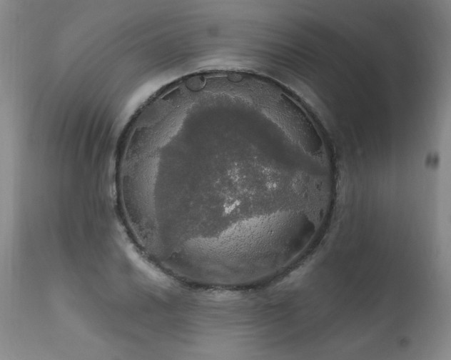 X0000111911030200907271217