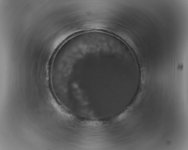 X0000111911031200907271217