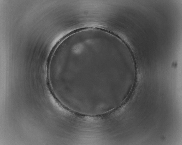 X0000111911032200907271217