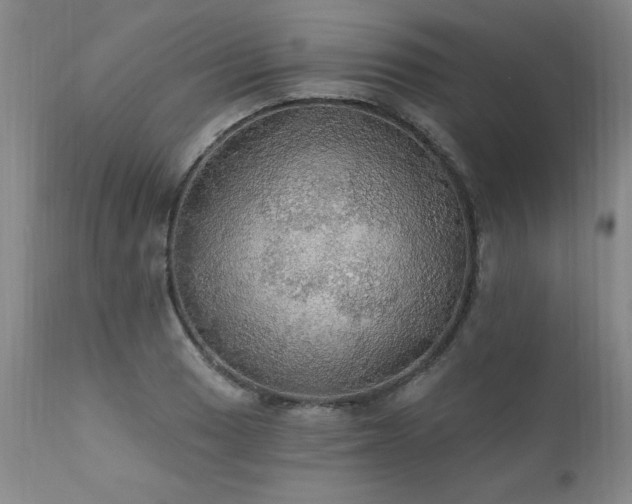 X0000111911033200907271217