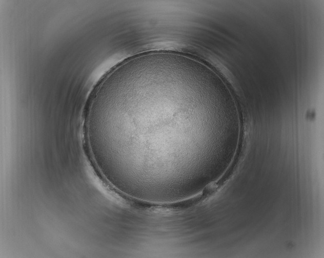 X0000111911034200907271217