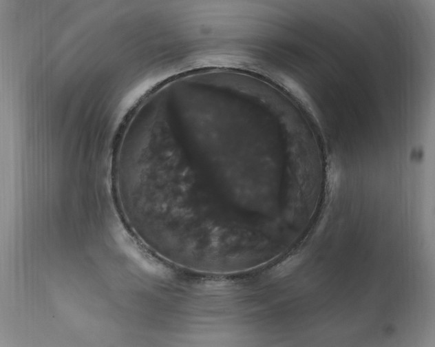 X0000111911035200907271217