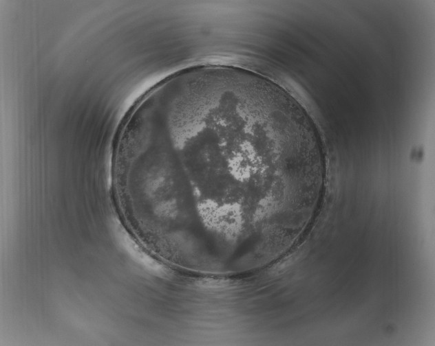 X0000111911036200907271217