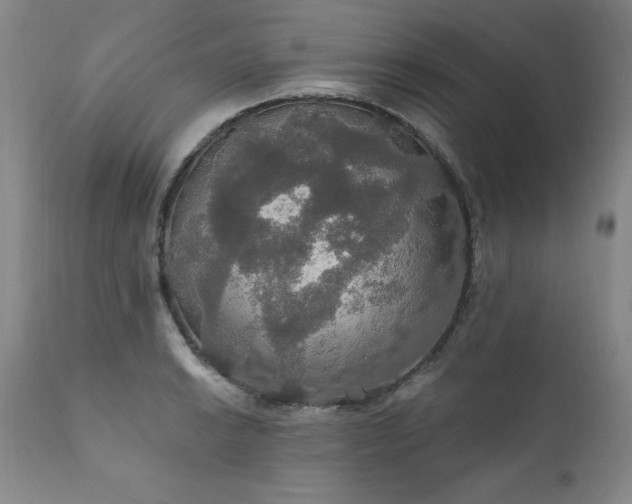 X0000111911038200907271217