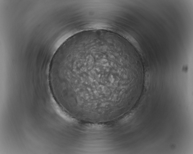 X0000111911039200907271217