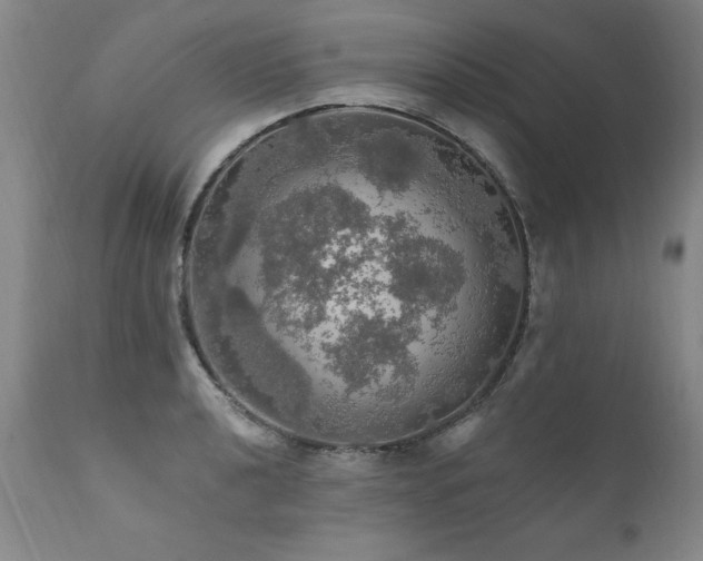 X0000111911040200907271217
