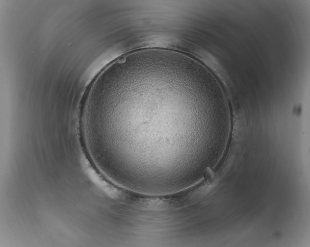X0000111911042200907271217