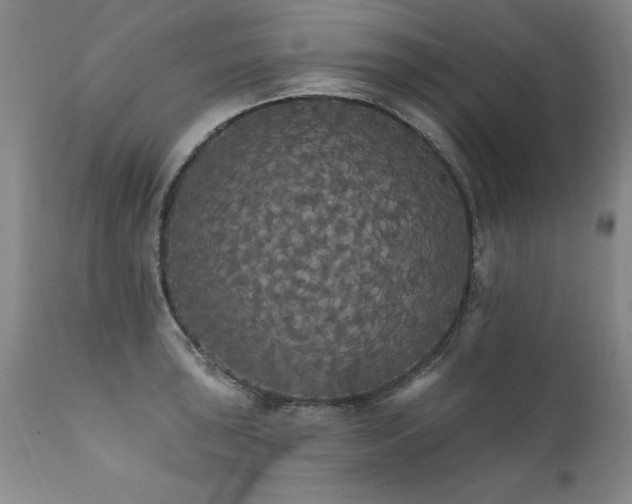 X0000111911043200907271217