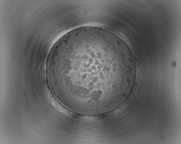 X0000111911044200907271217