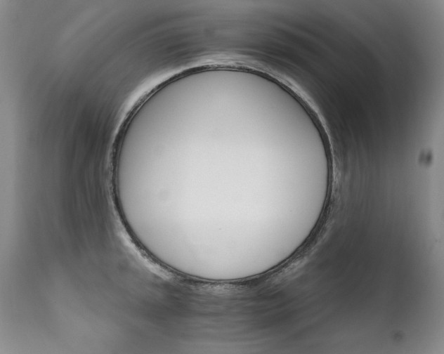 X0000111911045200907271217