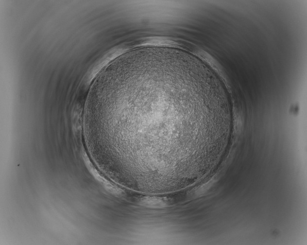 X0000111911049200907271217