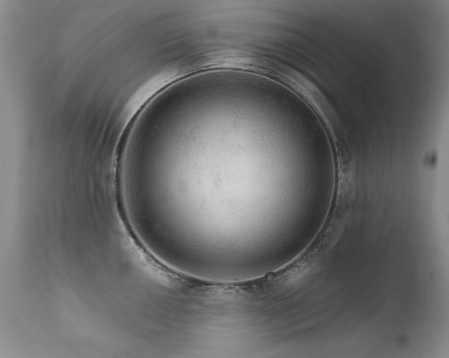 X0000111911050200907271217