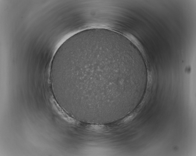 X0000111911052200907271217