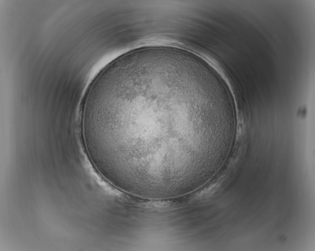 X0000111911053200907271217