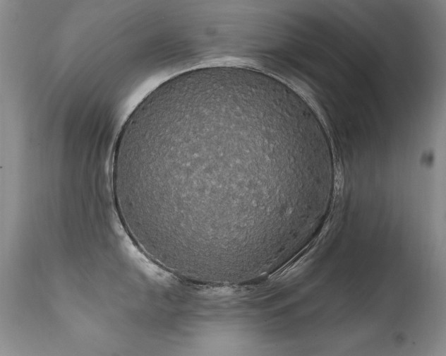 X0000111911054200907271217