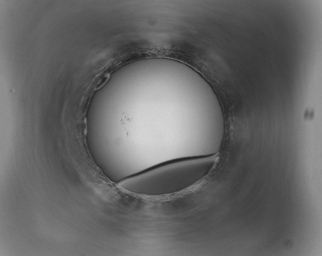 X0000111911057200907271216