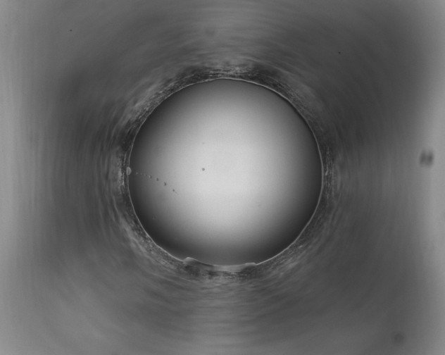 X0000111911058200907271216