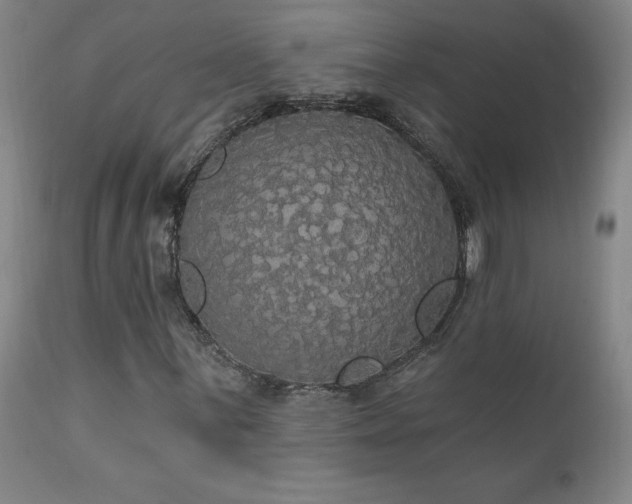 X0000111911059200907271216