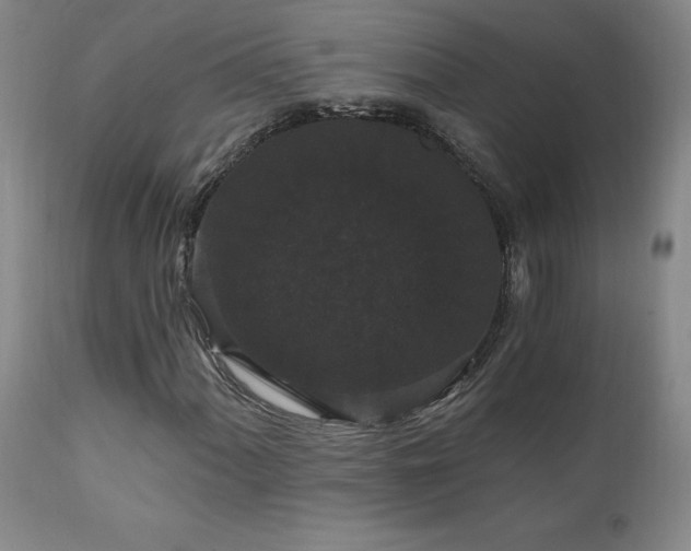 X0000111911060200907271216