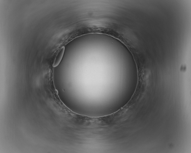 X0000111911061200907271216