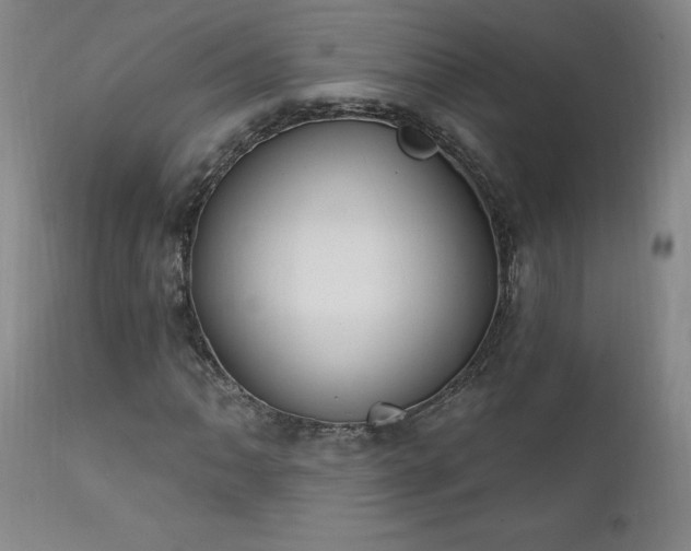 X0000111911062200907271216