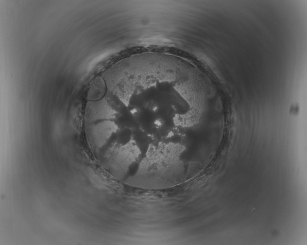 X0000111911063200907271216