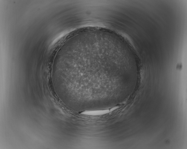 X0000111911064200907271216